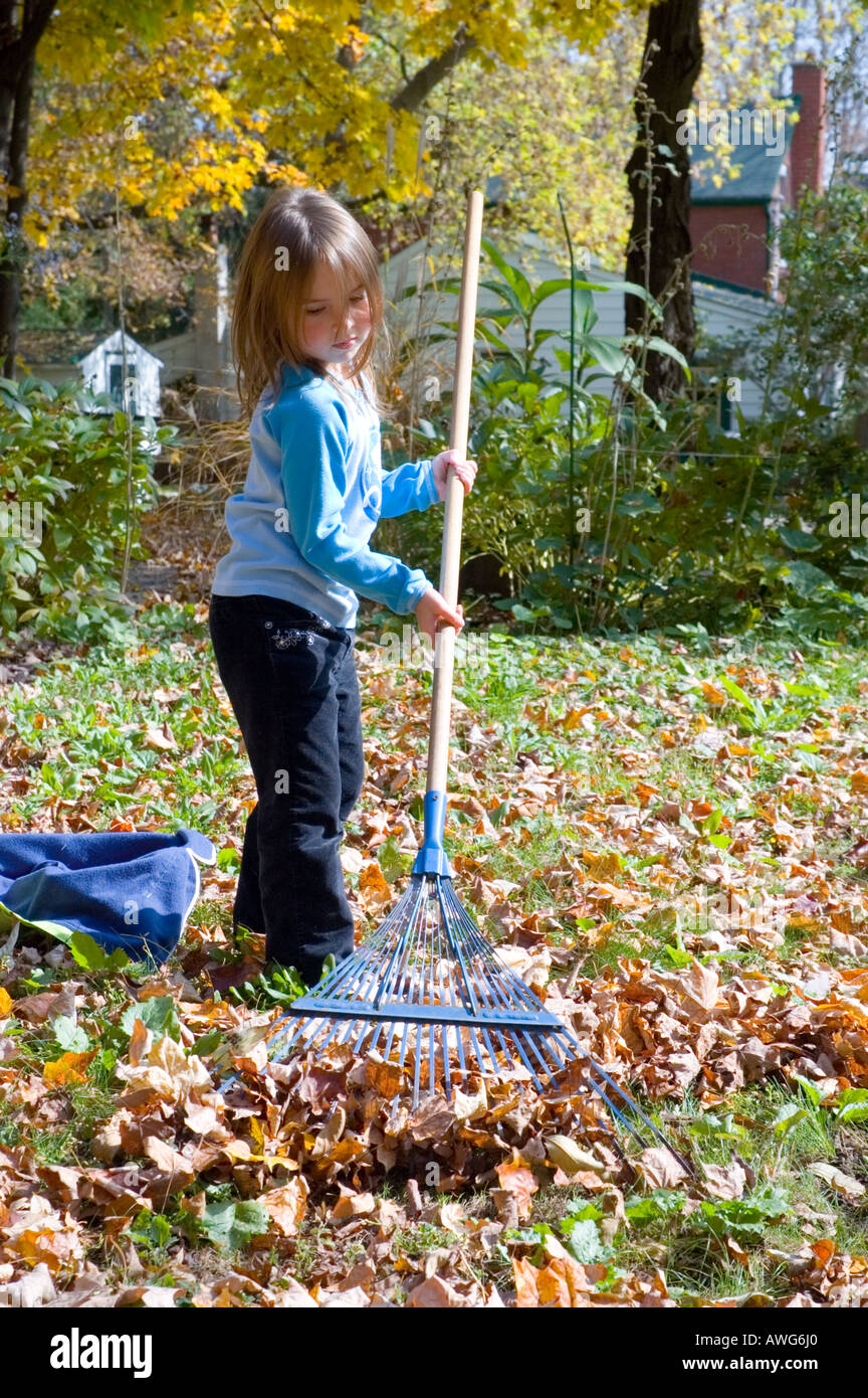 Child Raking Leaves High Resolution Stock Photography and Images Alamy