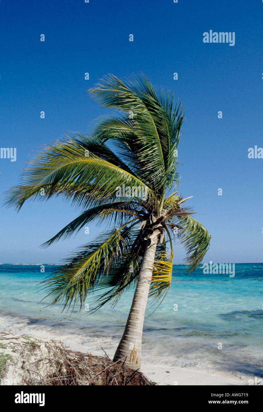 Caribbean Santo Domingo Dominican Republic Stock Photo - Alamy