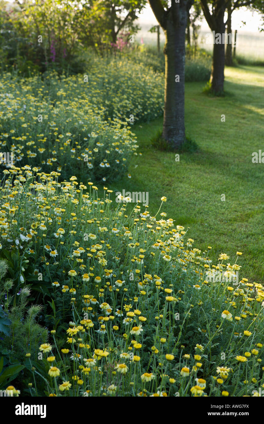 Trench Hill garden, Gloucestershire, UK (Hargraves) wavy edged border