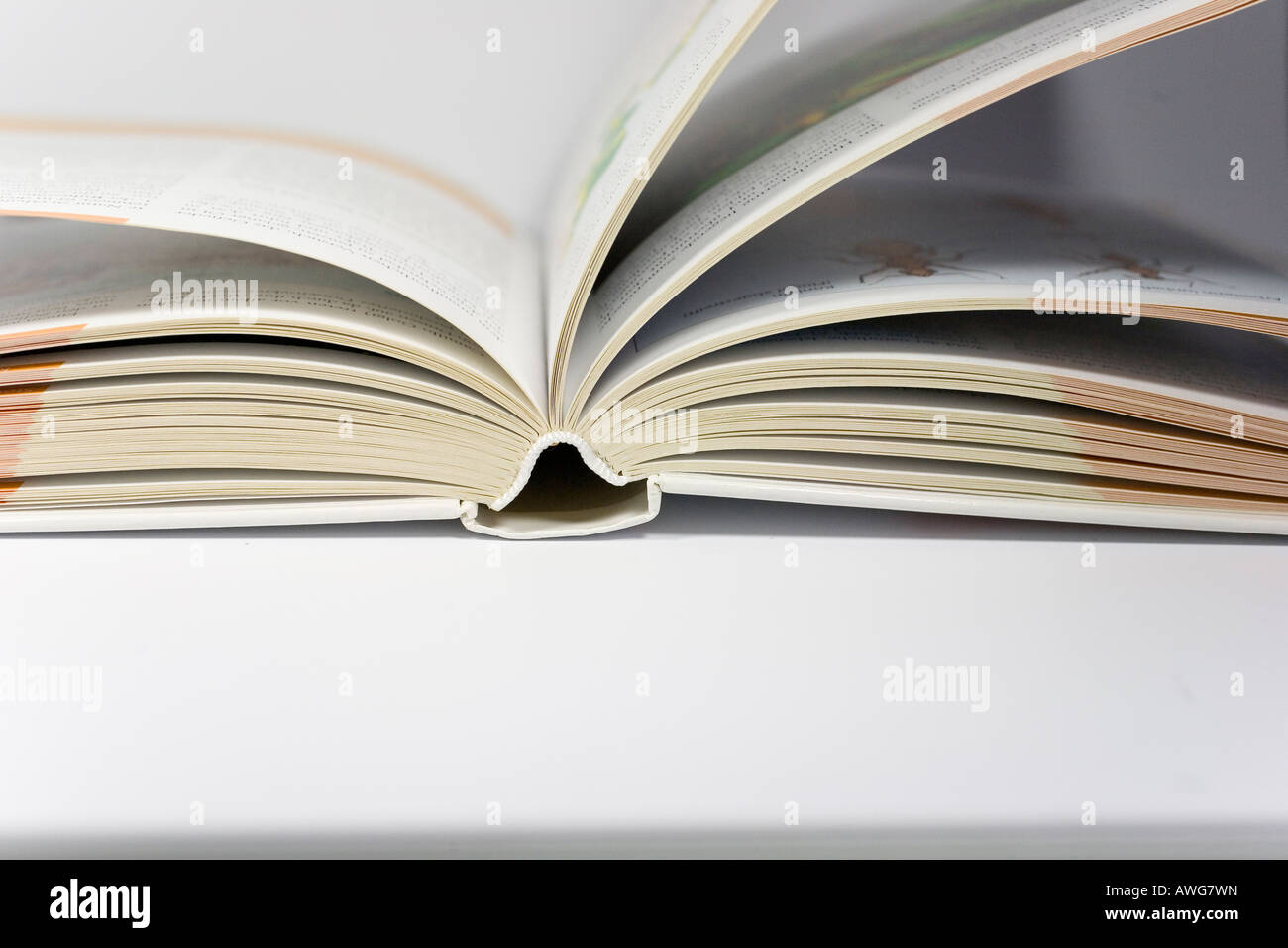 Sides Of An Opened Book Stock Photo Alamy