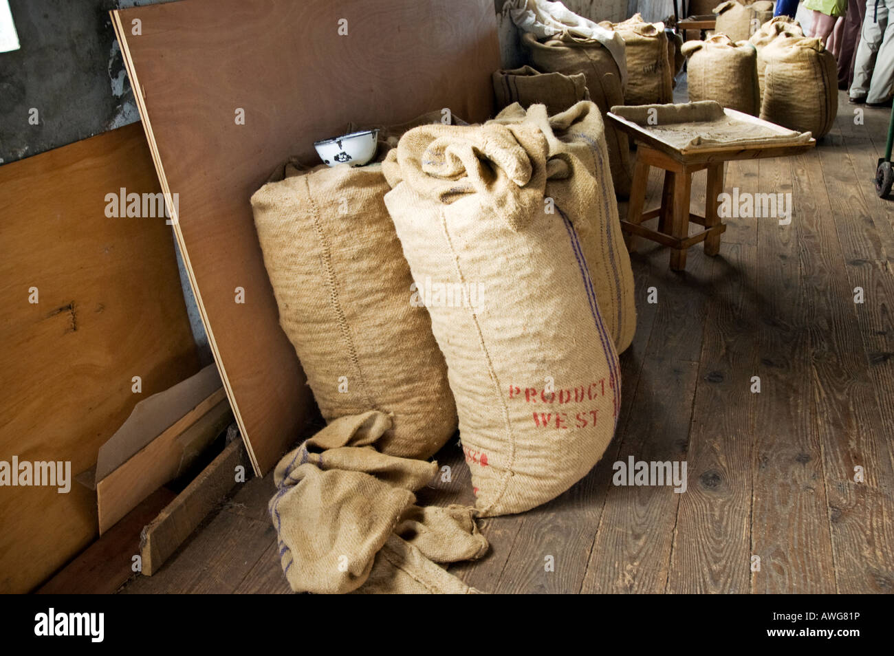 Sacks of processed Nutmegs ready for despatch, Nutmeg Factory, Gouyave, Grenada Stock Photo