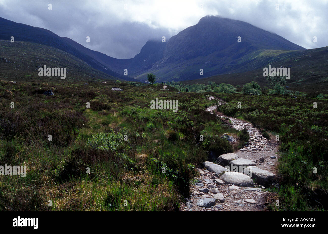 Ben Nevis North Face of Ben Nevis from the Allt a Mhuilinn path Highlands Scotland Stock Photo