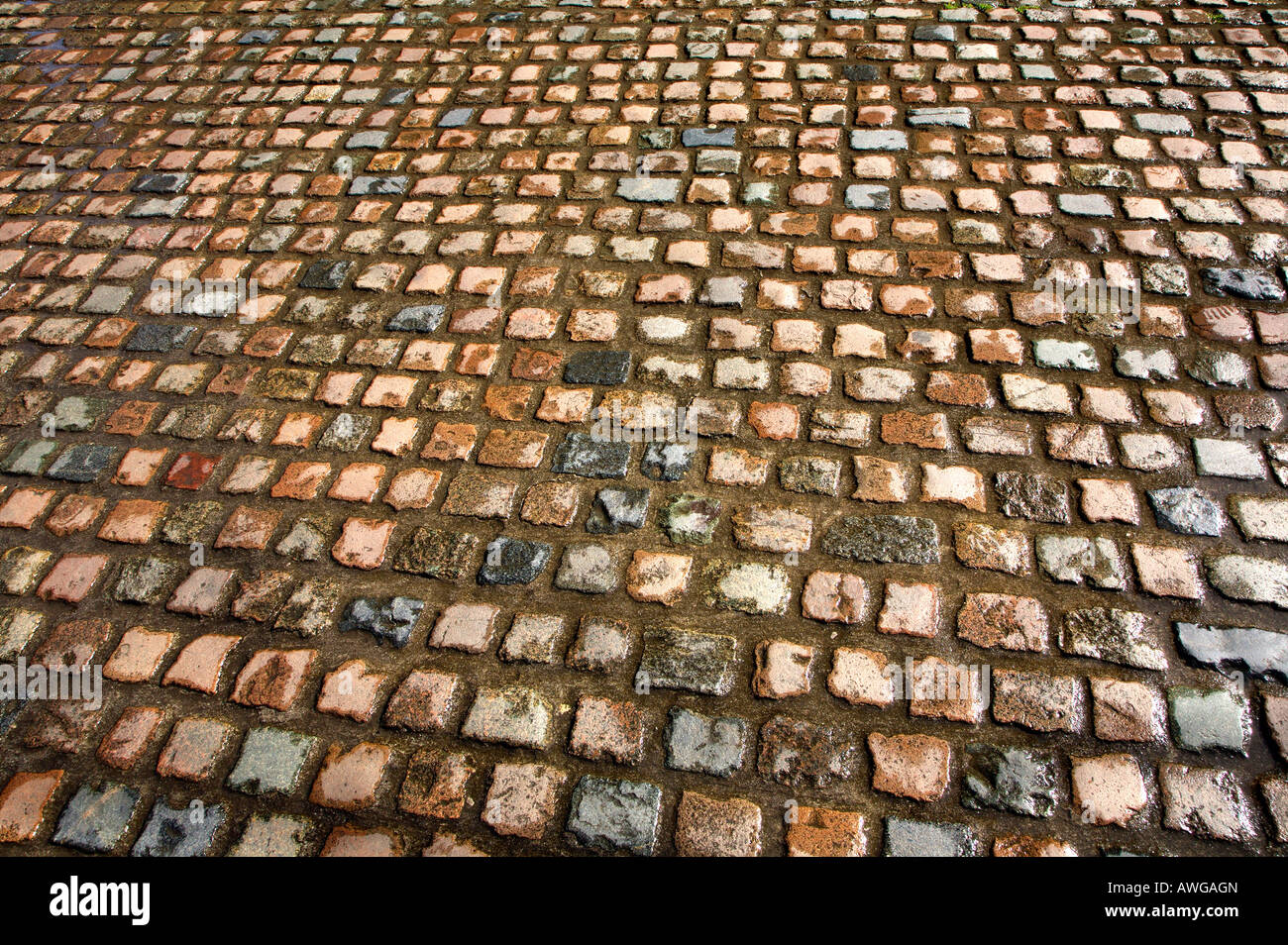 Colourful wet cobblestones in Truro, Cornwall UK. Stock Photo