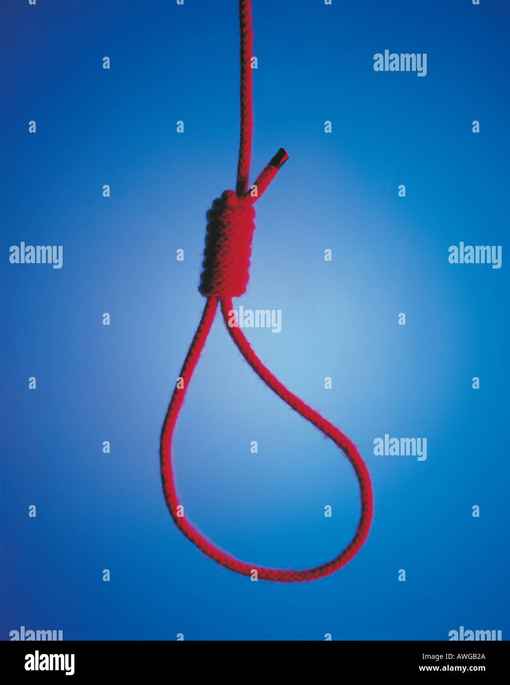 A typical foot snare: One end of a rope is tied to a stone ('trap