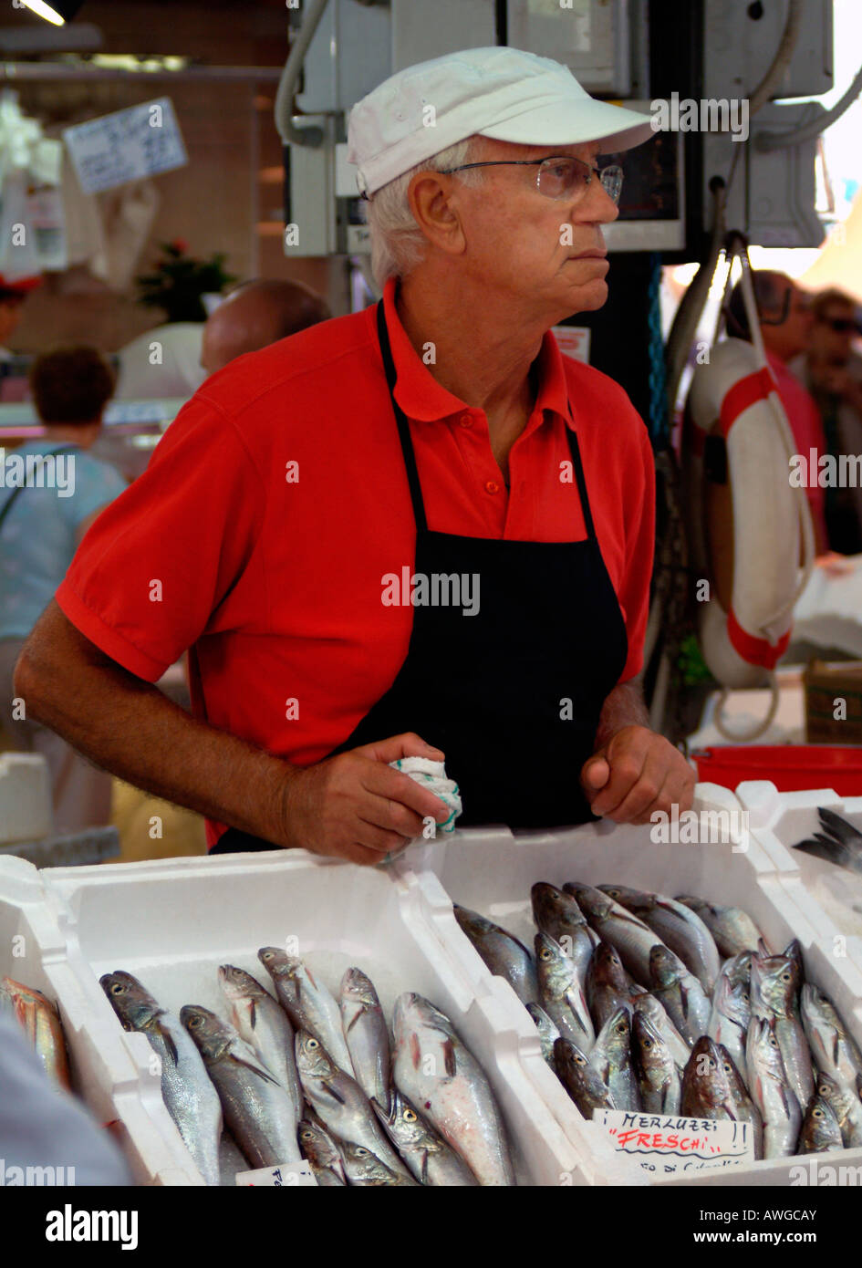 Civitavecchia Italy indoor maket fish stall Stock Photo Alamy