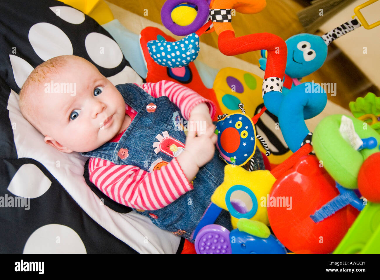 Horizontal portrait of a cute Caucasian baby girl lying on a colourful baby playgym mat to stimulate and develop her senses. Stock Photo