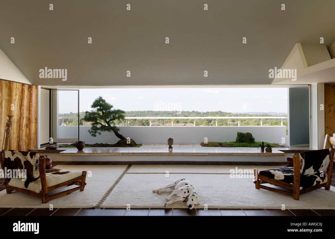 sitting room with sleeping dalmatian in 1930s modernist apartment block by berthold lubetkin - Modernist Living Room sitting room with sleeping dalmatian in 1930s modernist apartment block by berthold lubetkin - Modernist Living Room