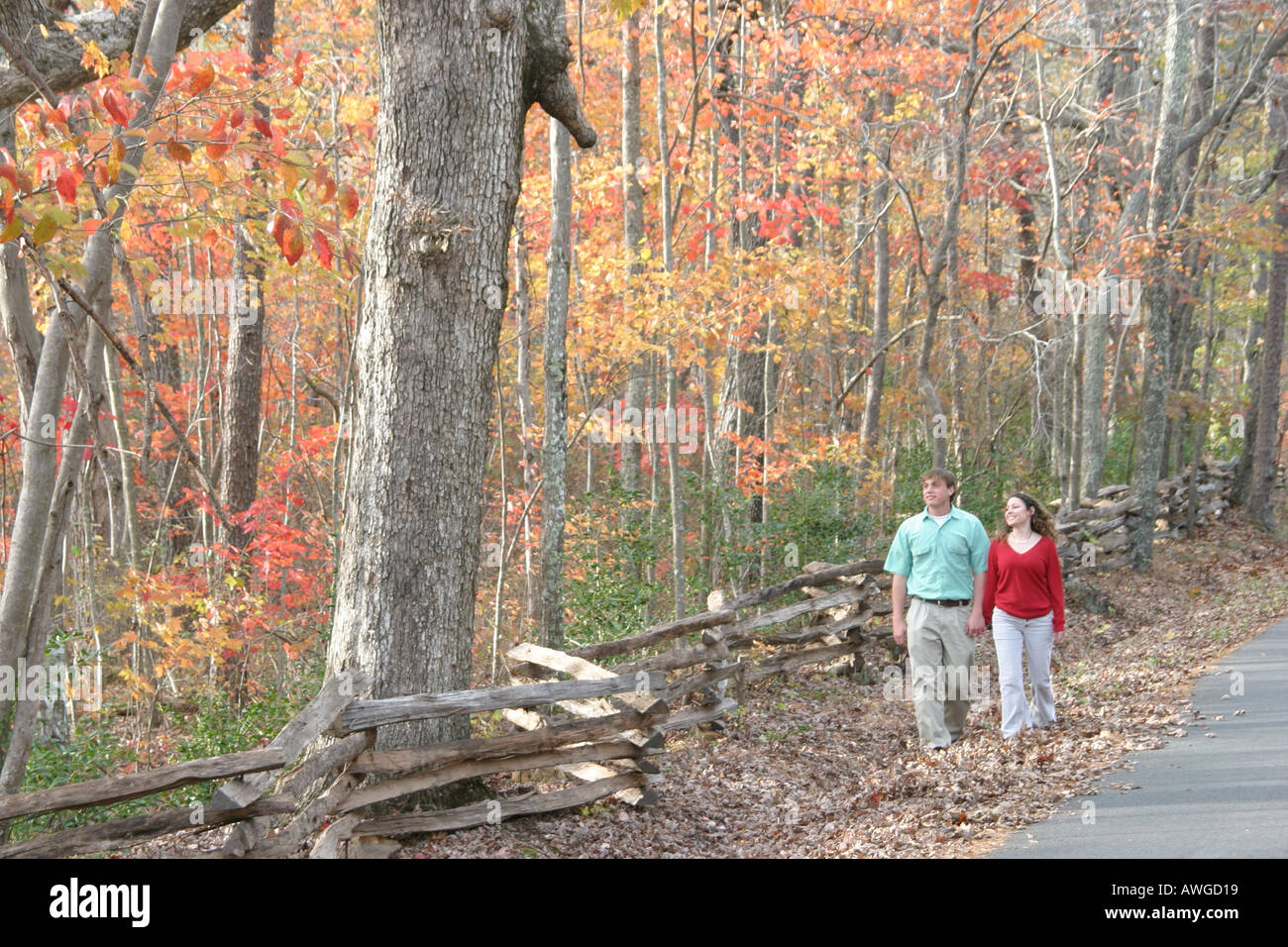 Al0411140076 jgjg hires stock photography and images Alamy