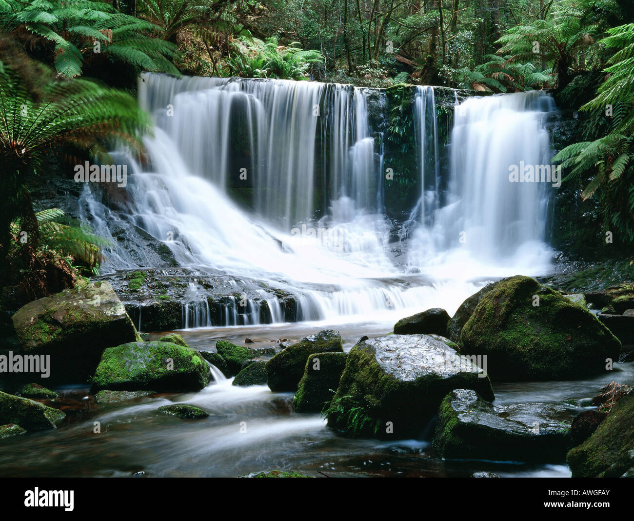 Horseshoe Falls Australia Tasmania Mt Field NP Stock Photo Alamy