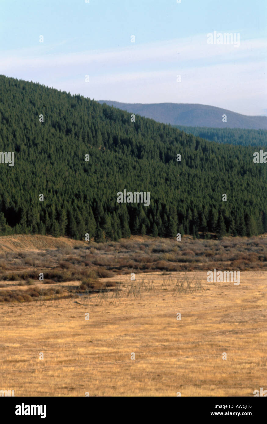 Big hole national battlefield hi-res stock photography and images - Alamy