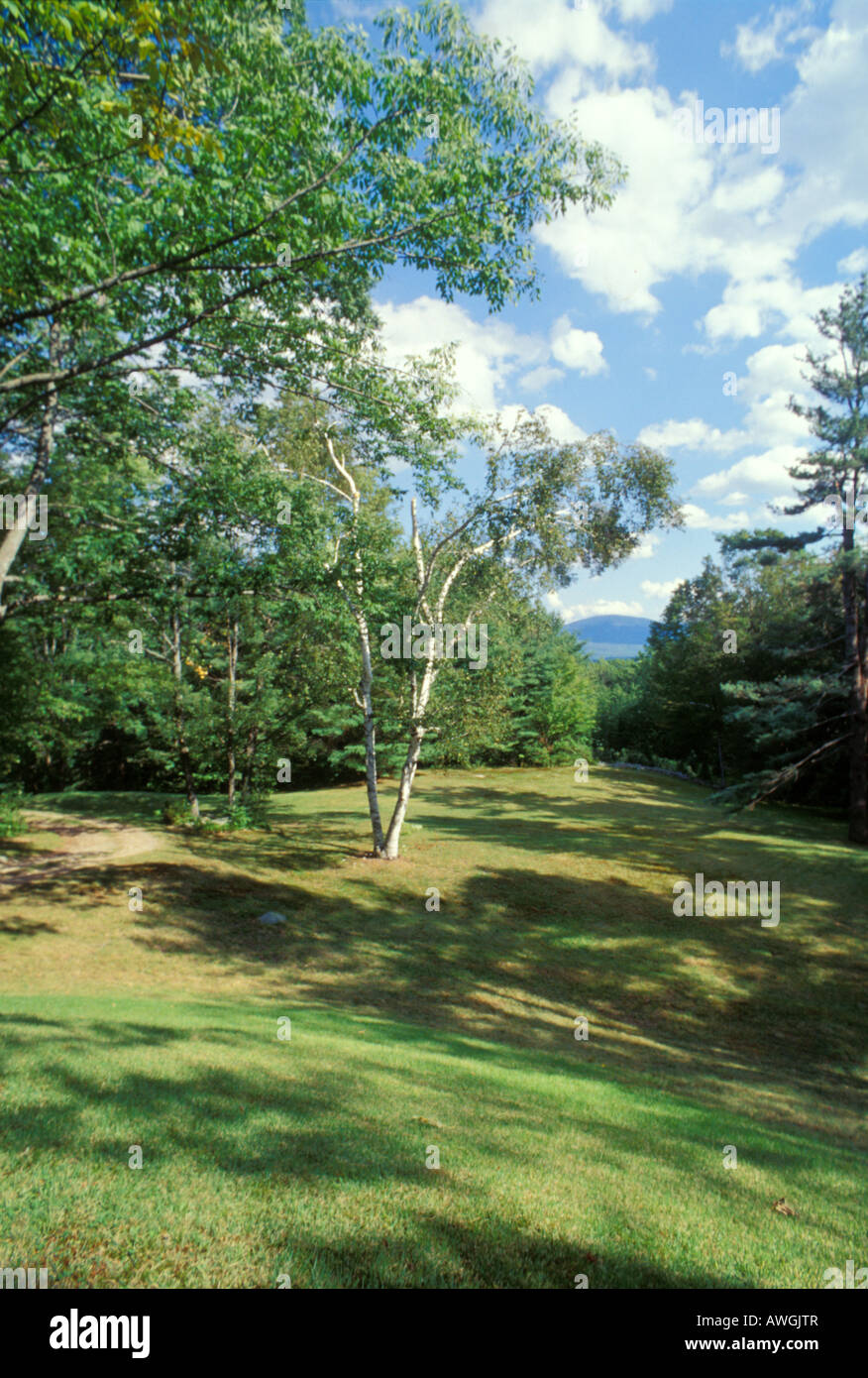 Summer house patio view Stock Photo Alamy