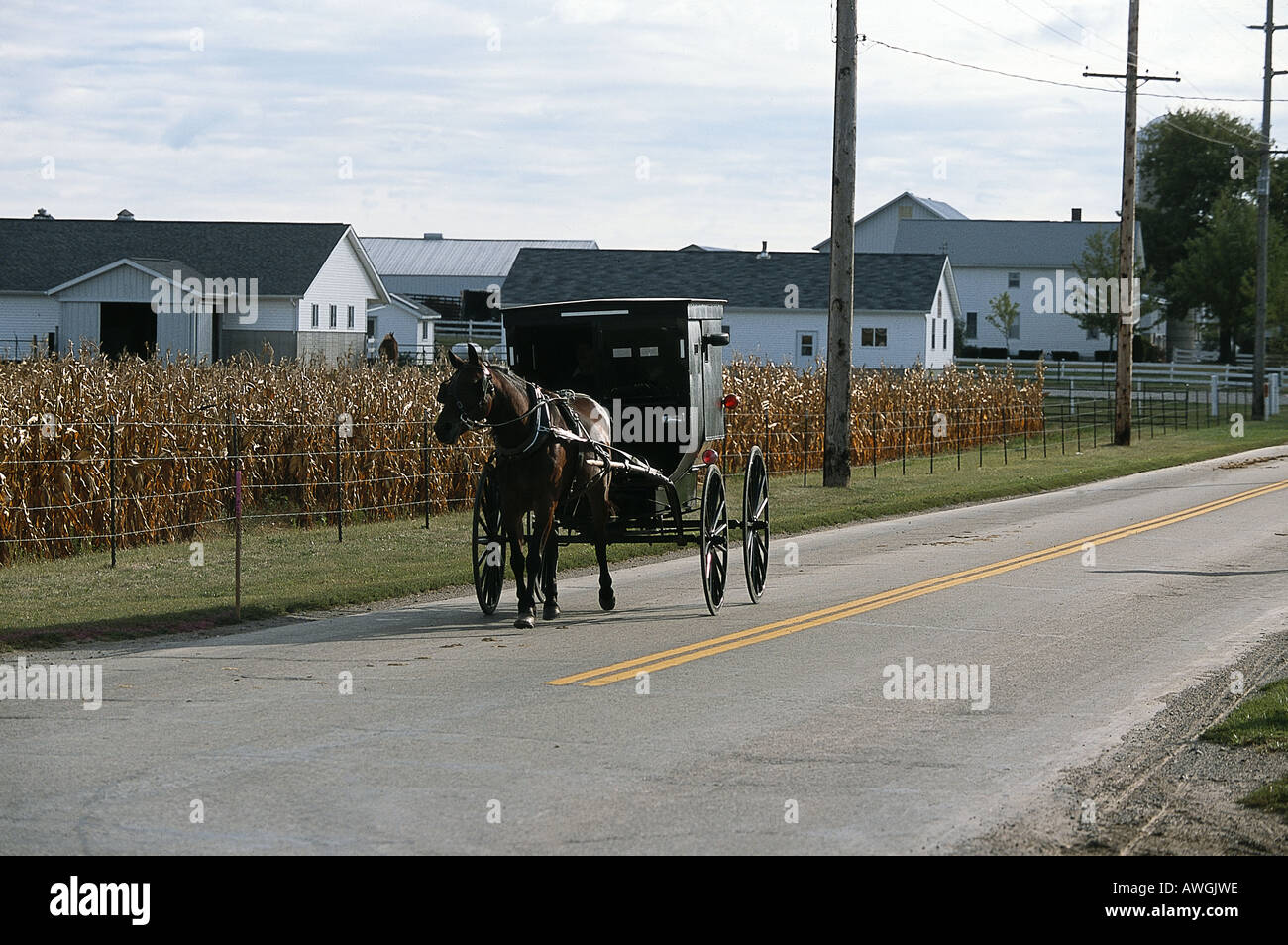 USA, Indiana, Shipshewana, Amish horse-drawn buggy in small rural village Stock Photo