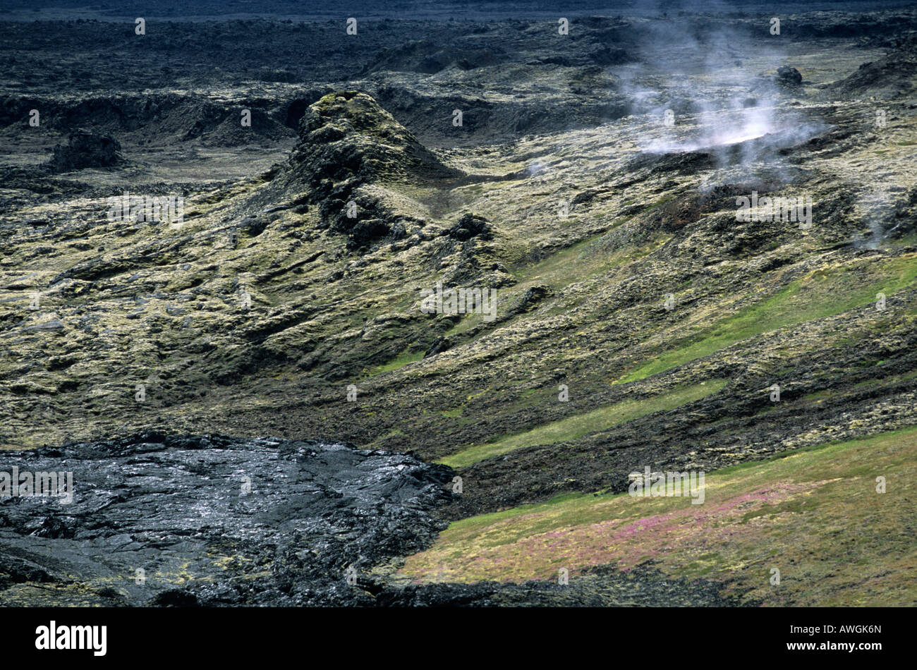 Lava Field In The Area Of Krafla Myvatn Islande Stock Photo Alamy Lava Field In The Area Of Krafla Myvatn Islande Stock Photo Alamy