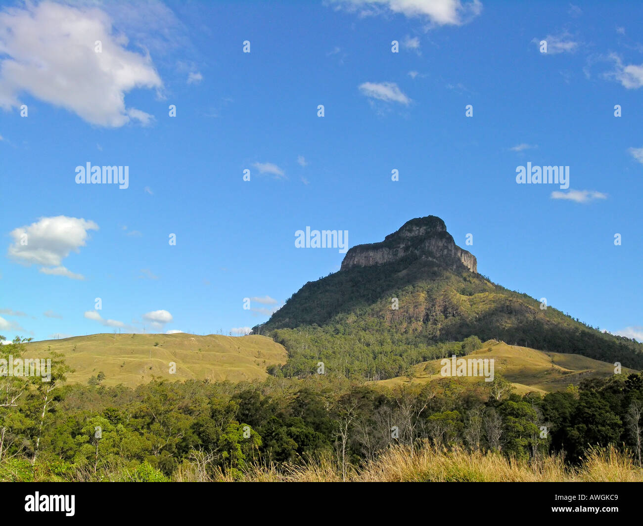 Mount Warning Stock Photo 5411784 Alamy