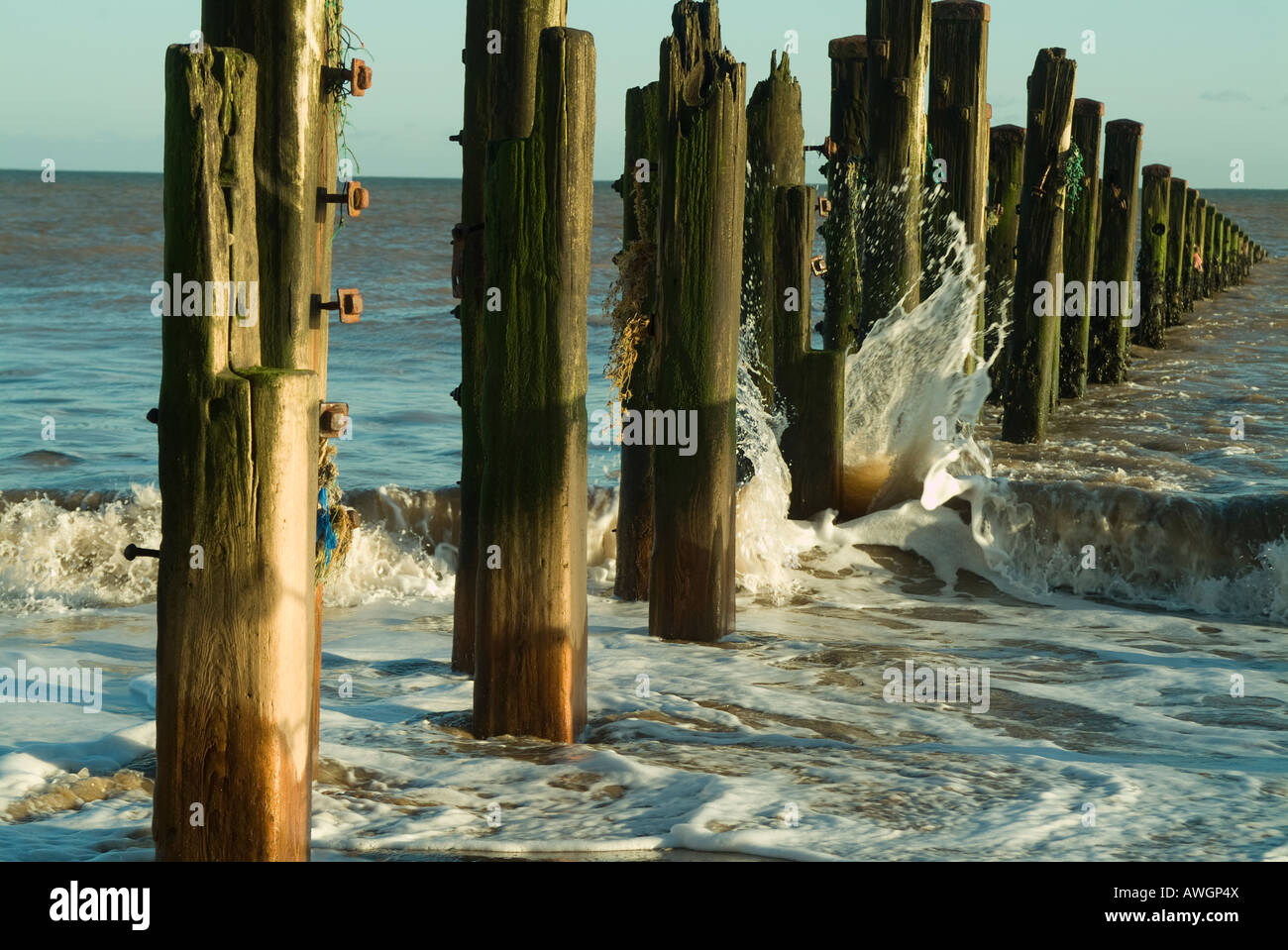 old wooden groynes at Spurn Point, east Yorkshire Stock Photo