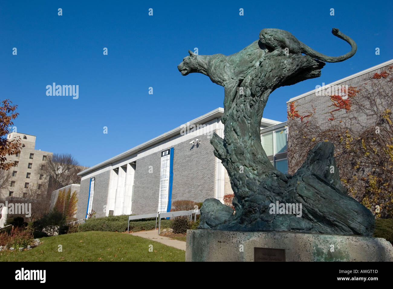 The Leopard Jonathan Kenworthy outside the Lord Beaverbrook Art Gallery