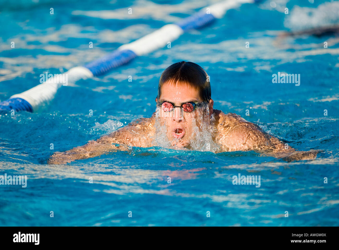 Breaststroke hi-res stock photography and images - Alamy