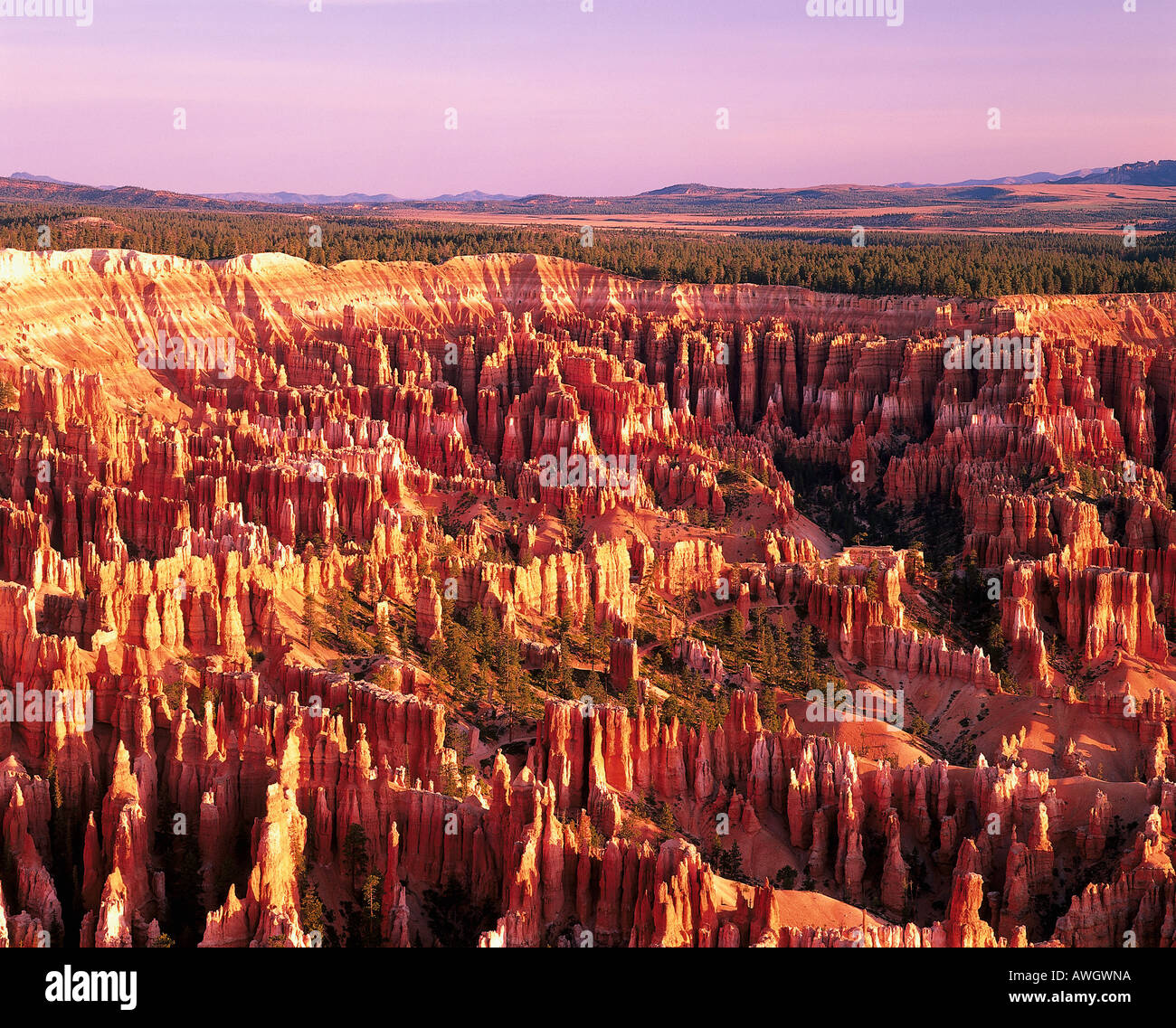 Utah Coloured Rocks USA, Utah, Bryce Canyon National Park, series of deep amphitheaters ...