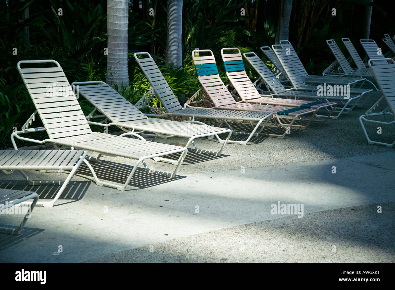 Pool Lounge Chairs Marriott Hotel San Diego California Usa