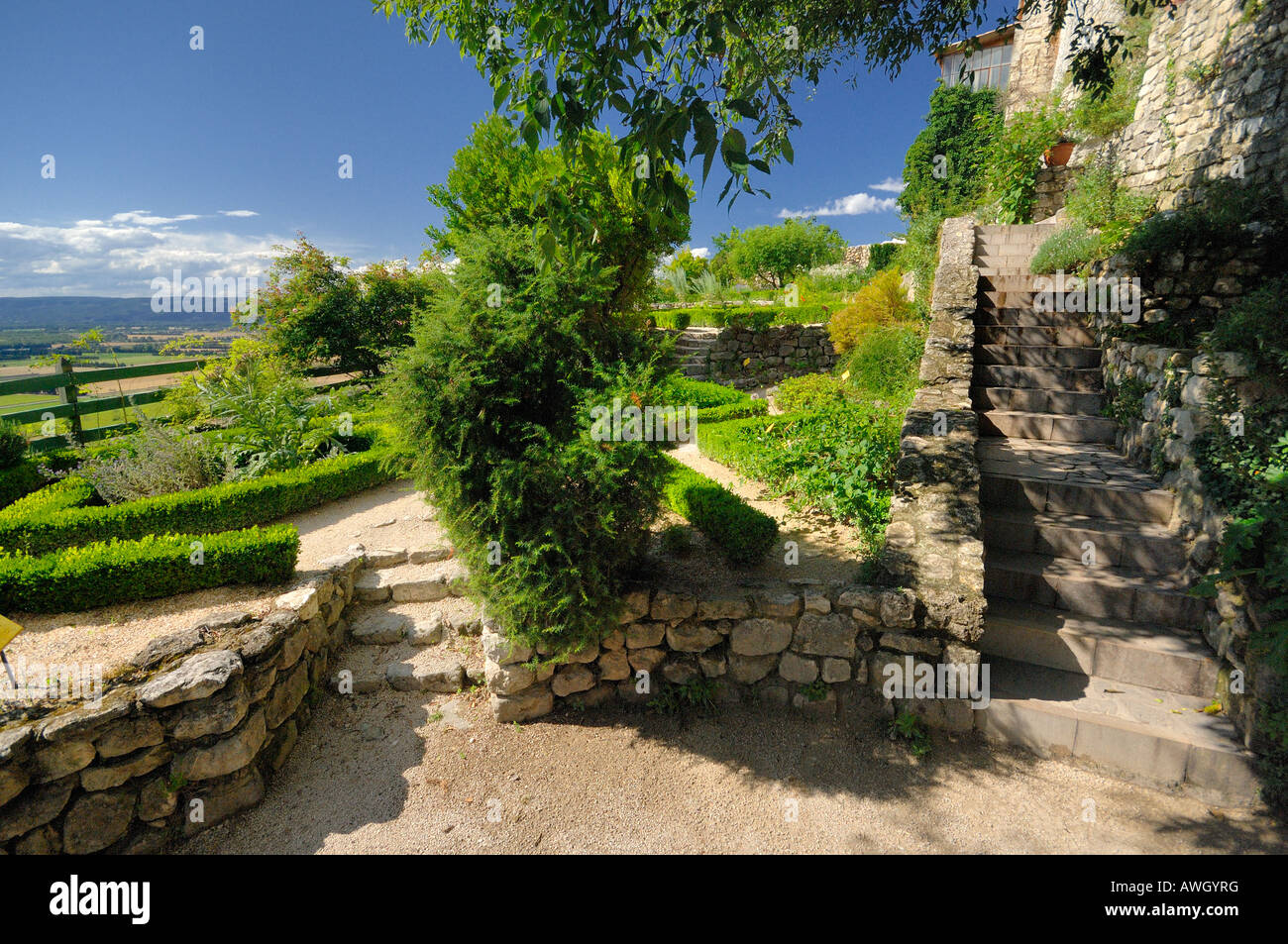Garden herbs of Provence Stock Photo Alamy