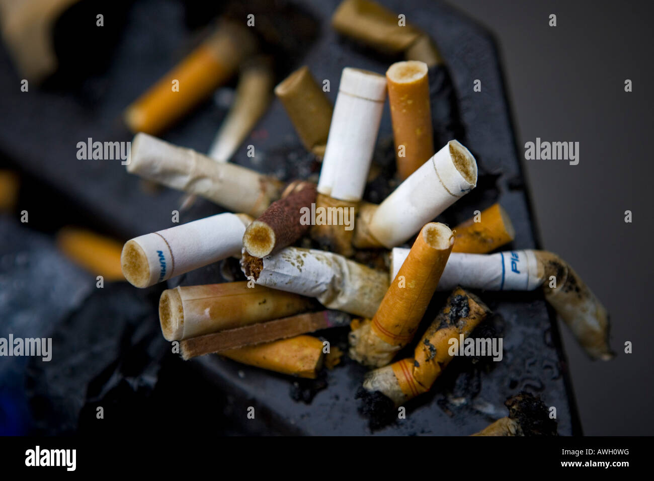 Stubbed out cigarette butts jammed into a improvised outdoor ashtray Stock  Photo