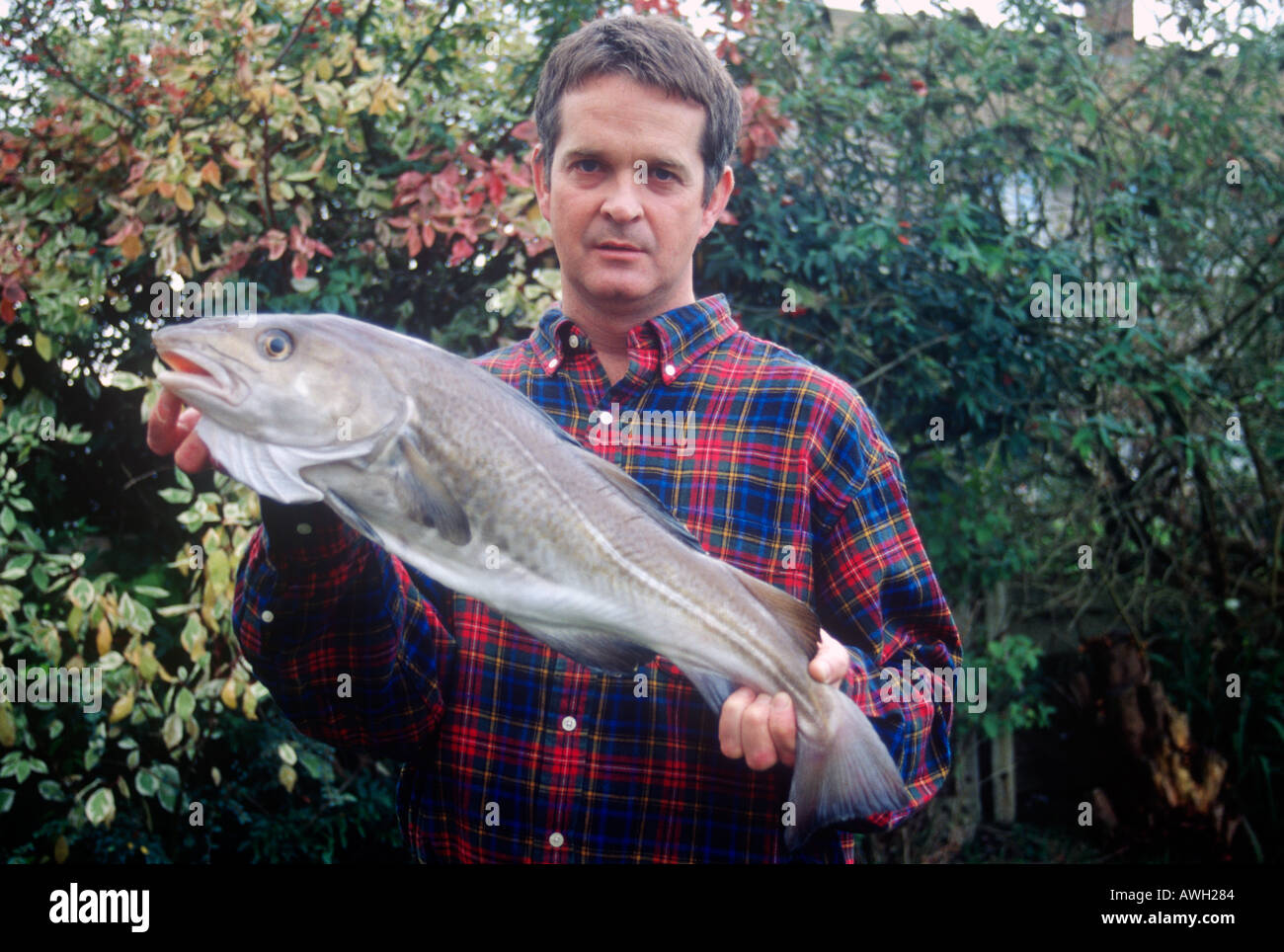 Angling for cod hi-res stock photography and images - Page 4 - Alamy