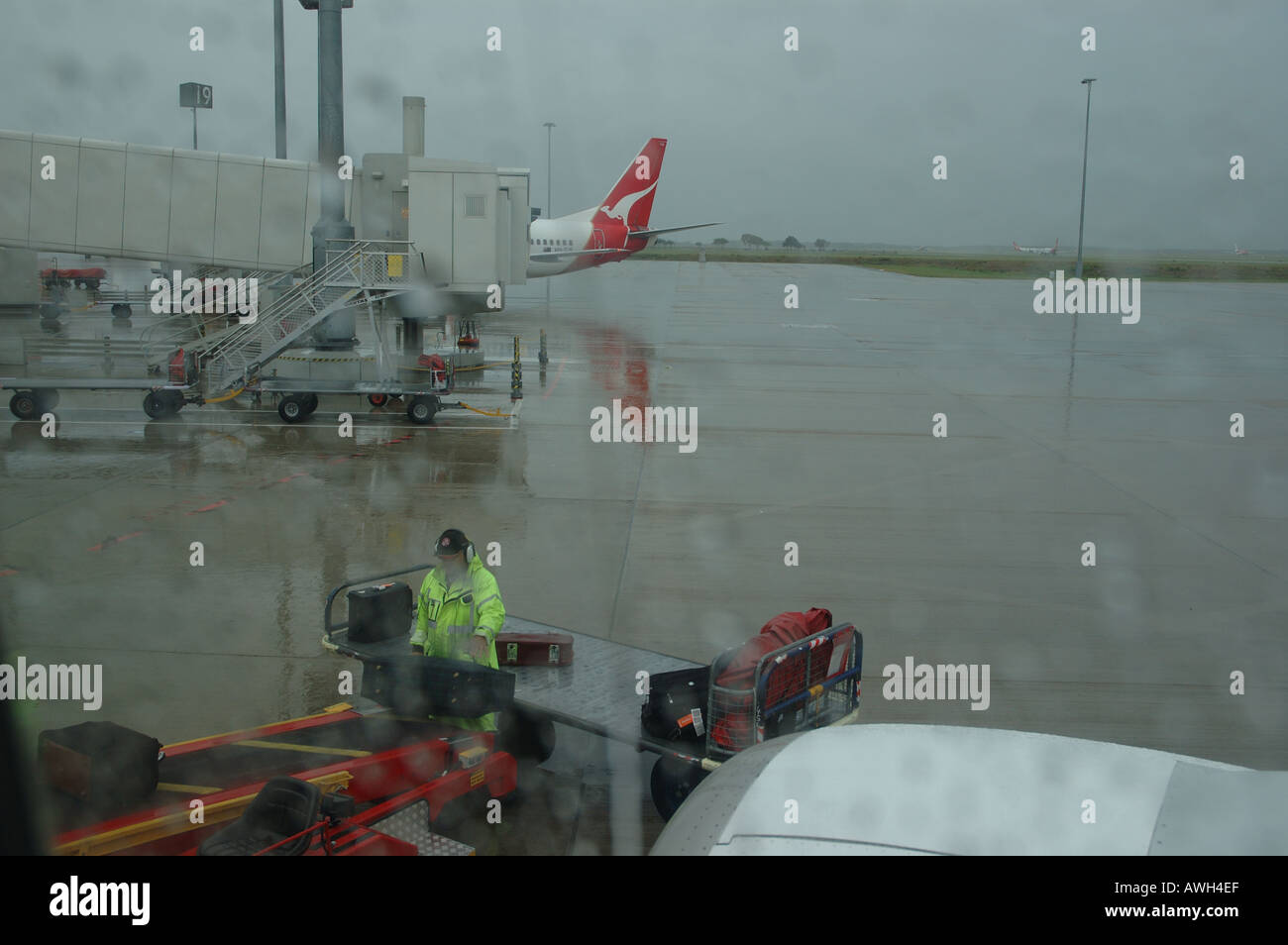 baggage handlers loading bags Brisbane airport Queensland Australia dsc