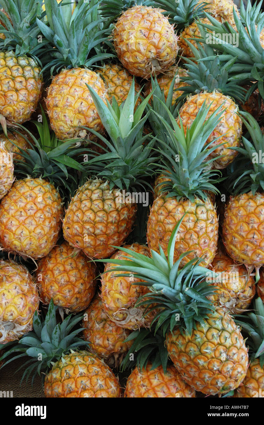 Pineapples for sale market stall Eumundi Noosa Queensland Australia dsc