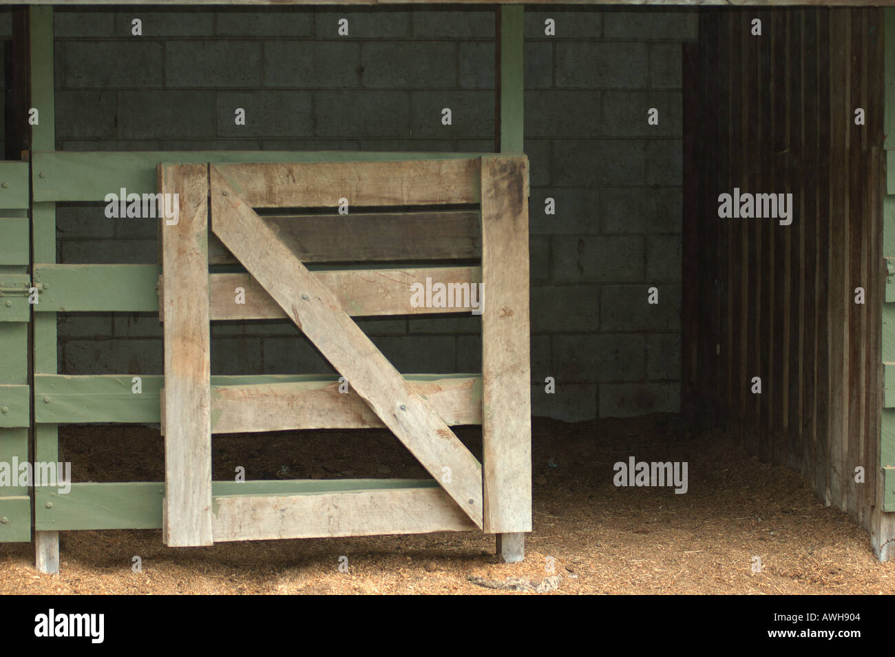 shut the gate after the horse has bolted empty horse stable open gate