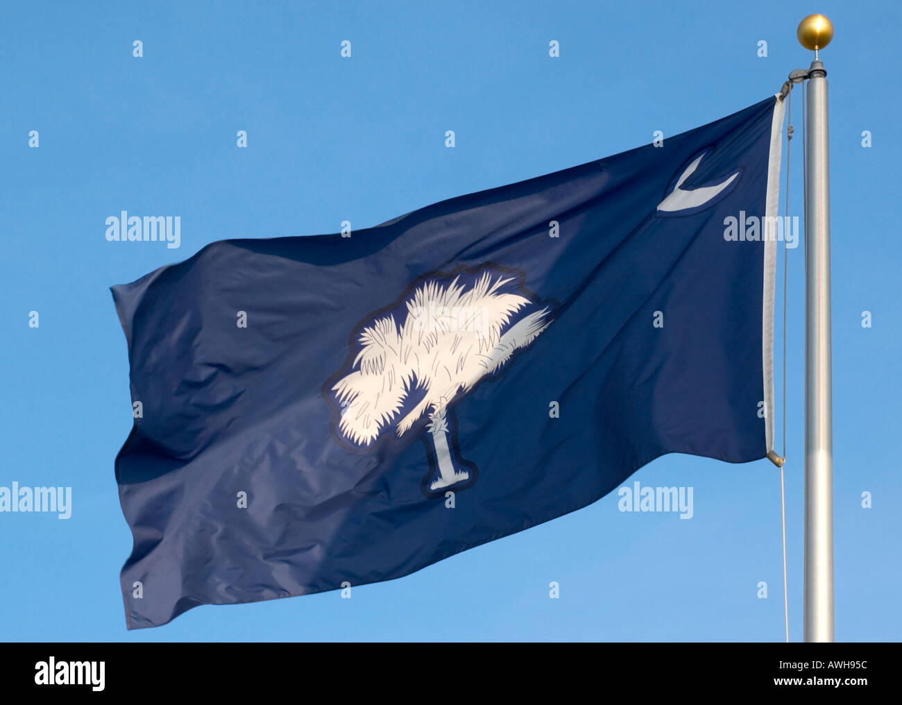 South Carolina State flag USA Stock Photo