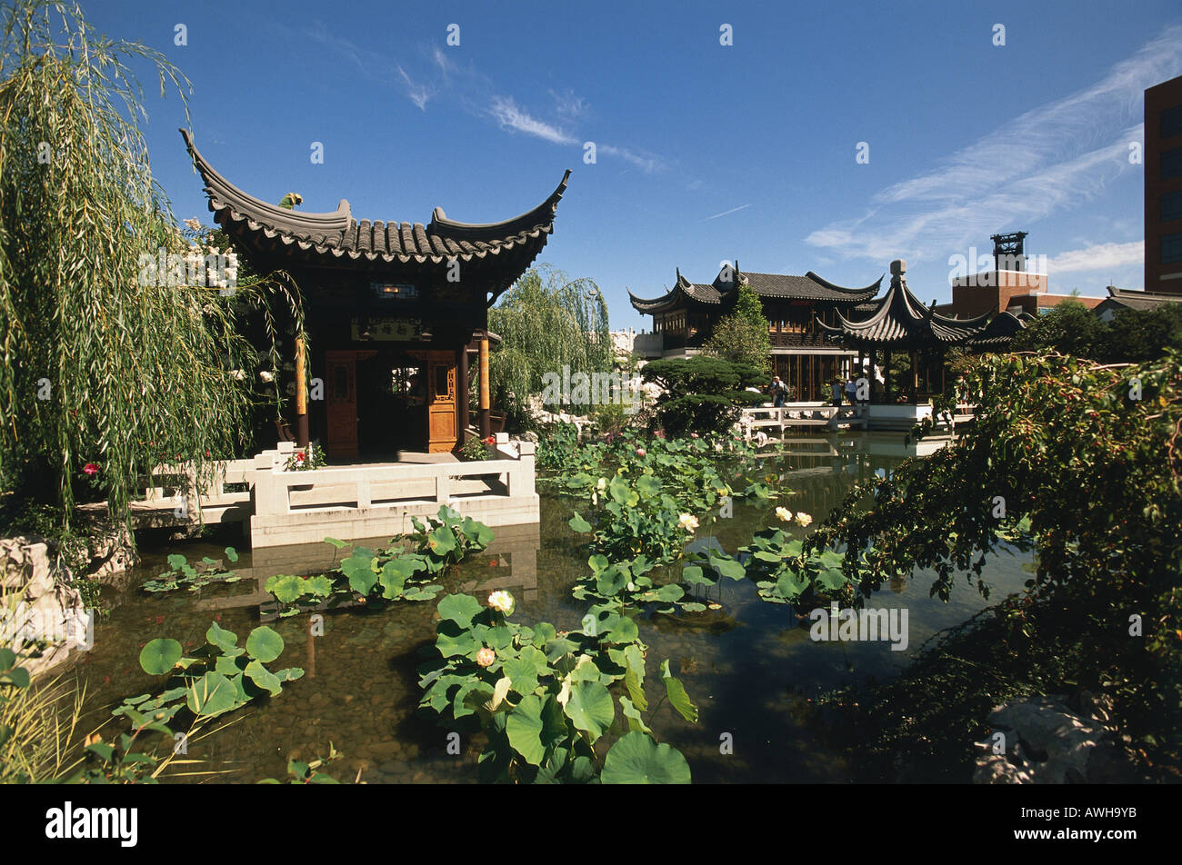 USA Pacific Northwest Oregon Portland Chinatown Classical Chinese Garden intricately carved tiled-roof pavilions overlooking Stock Photo