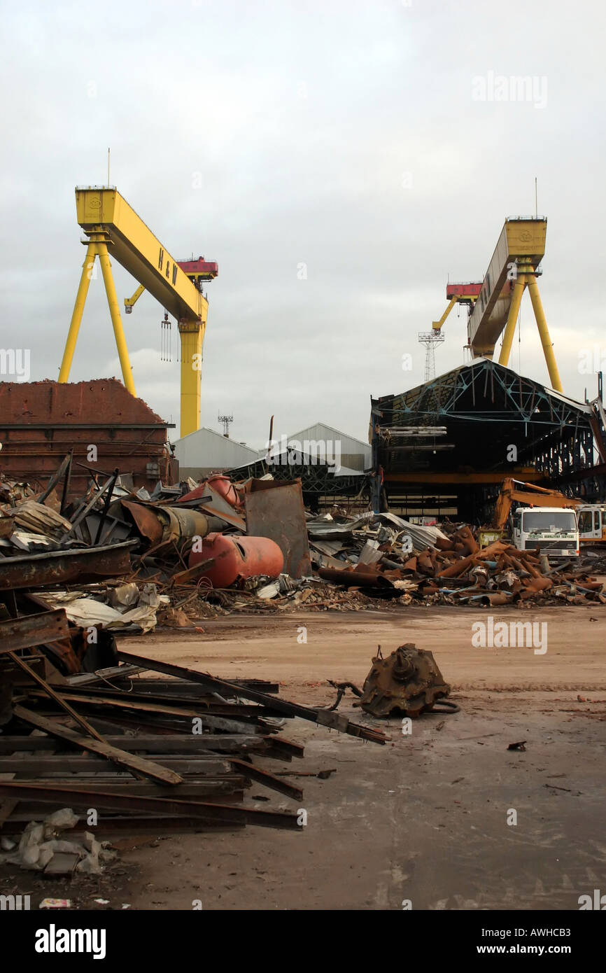 Samson and Goliath cranes in the old Harland and Wolff shipyard Stock ...