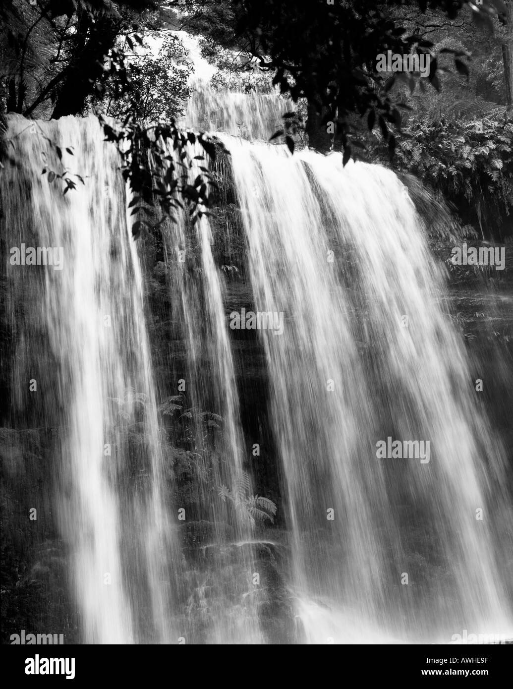 Large waterfall in a Tasmania rainforest Stock Photo
