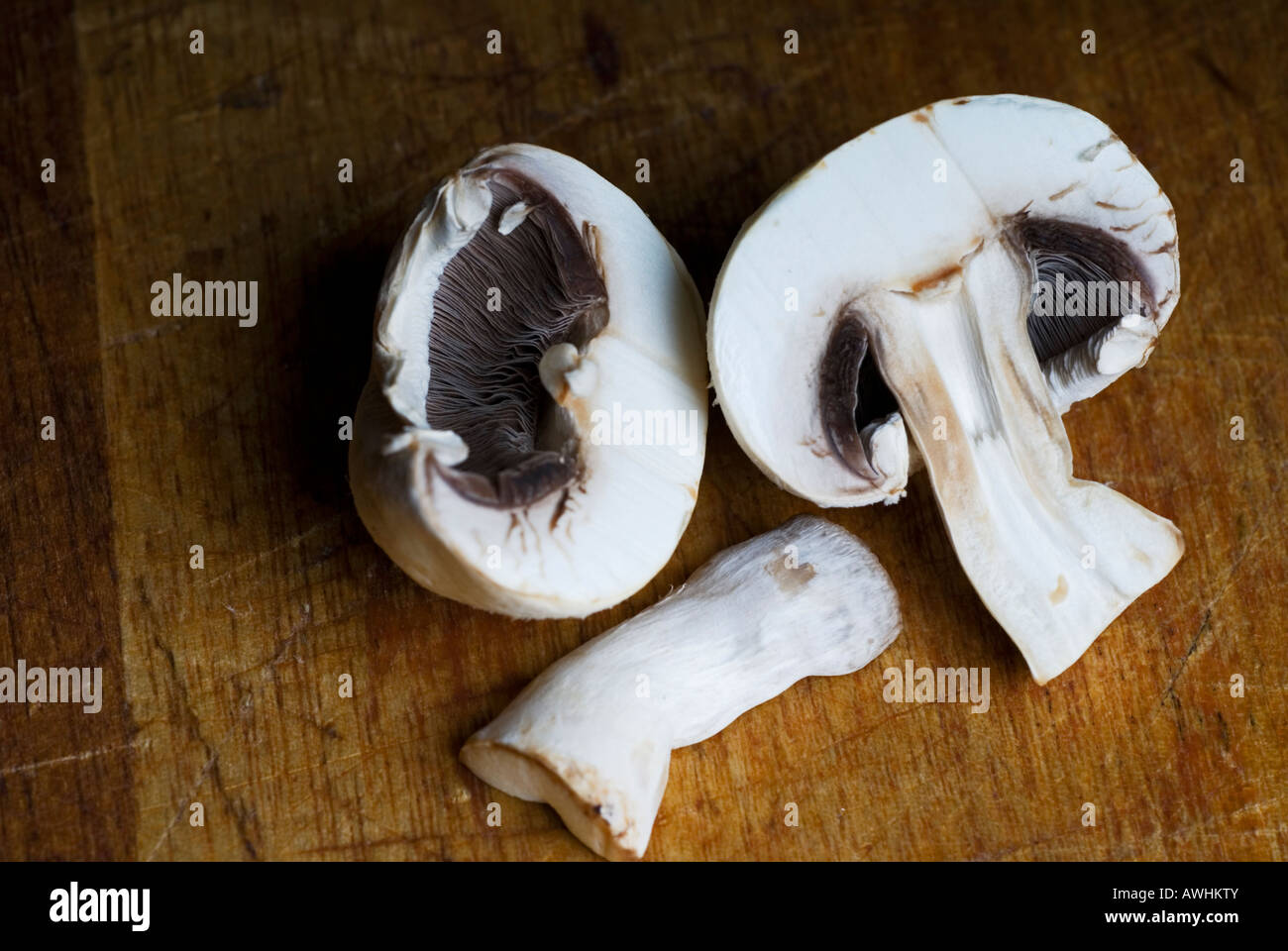 Stock photo of a close up shot of the common field mushroom The mushroom is also known by the name of Paris mushroom Stock Photo