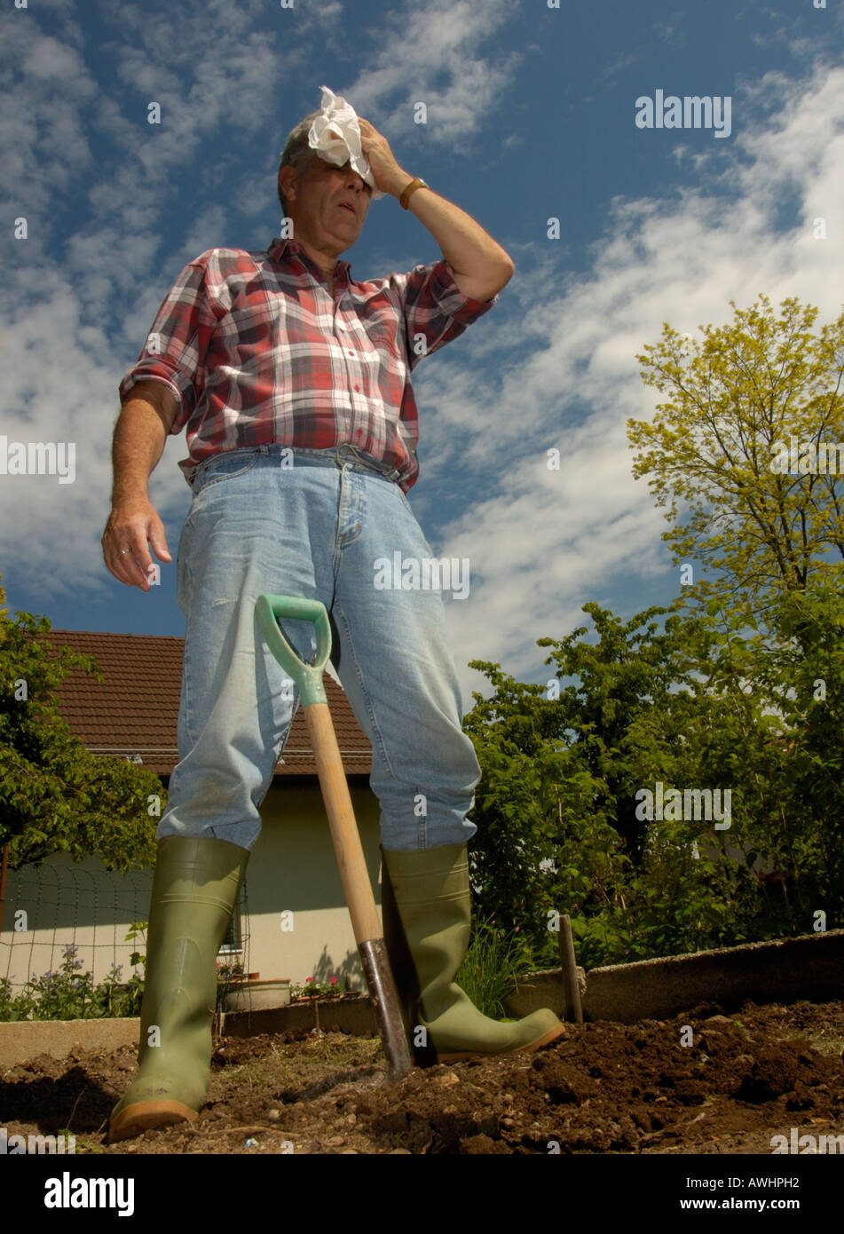 Digging the garden. Stock Photo
