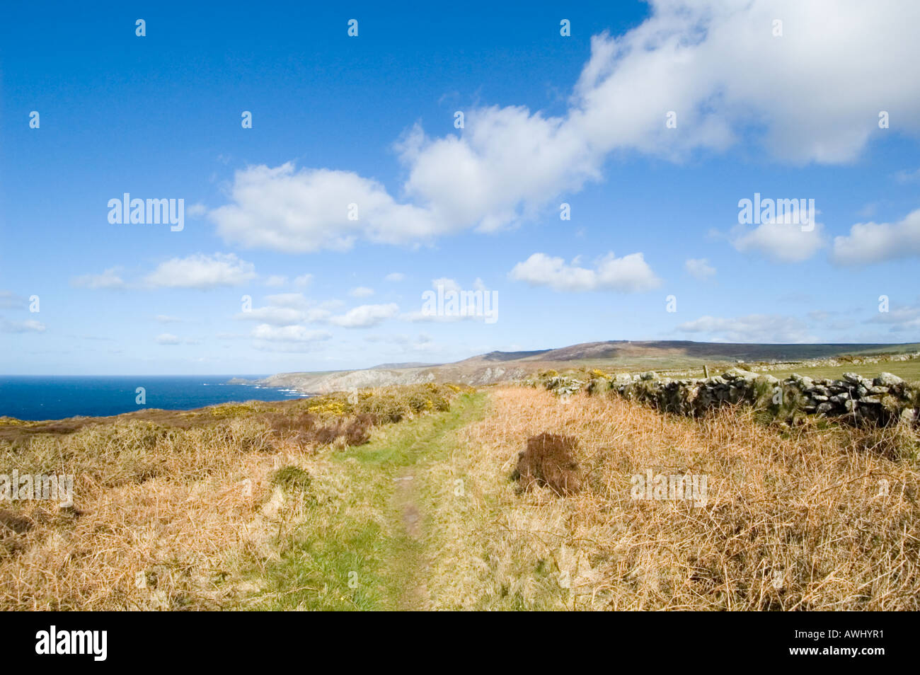 Cornish Coastal Path Stock Photo Alamy