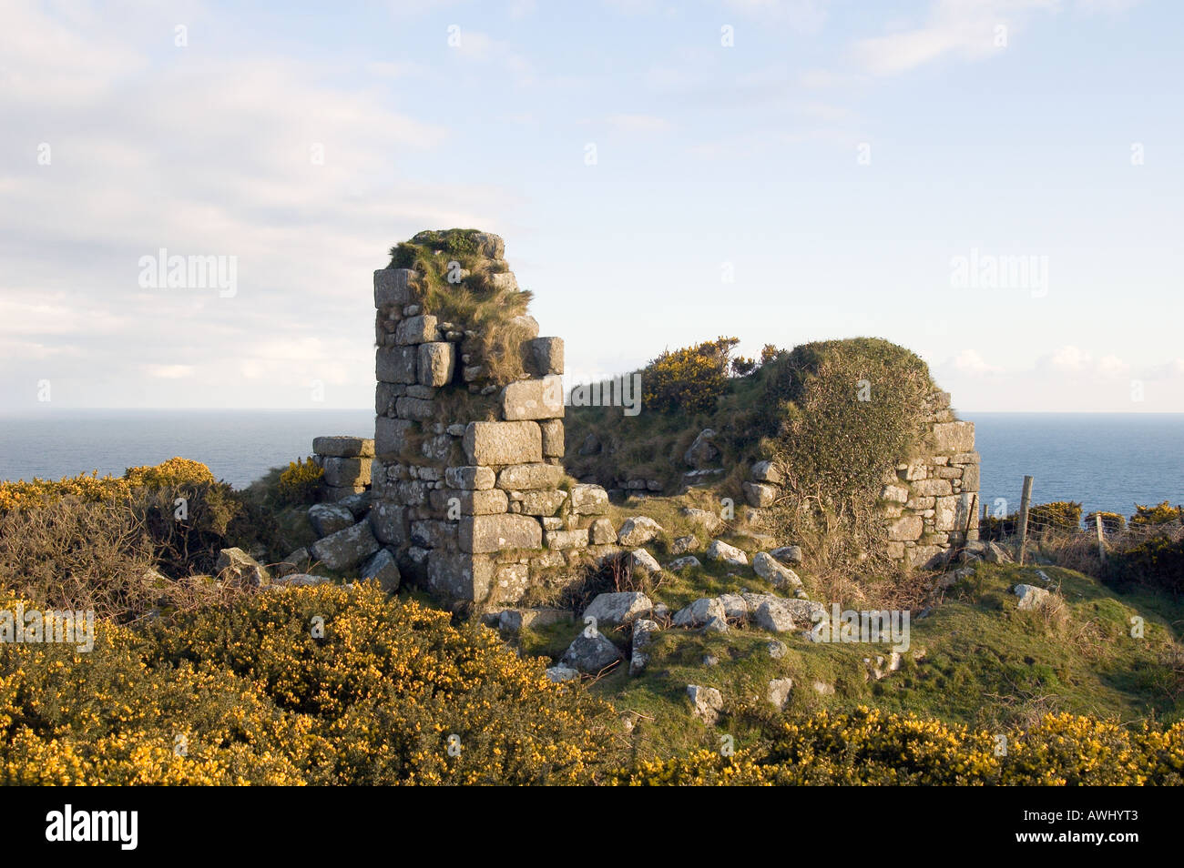 Old Tin Mines On the North Cornwall Coast Stock Photo Alamy