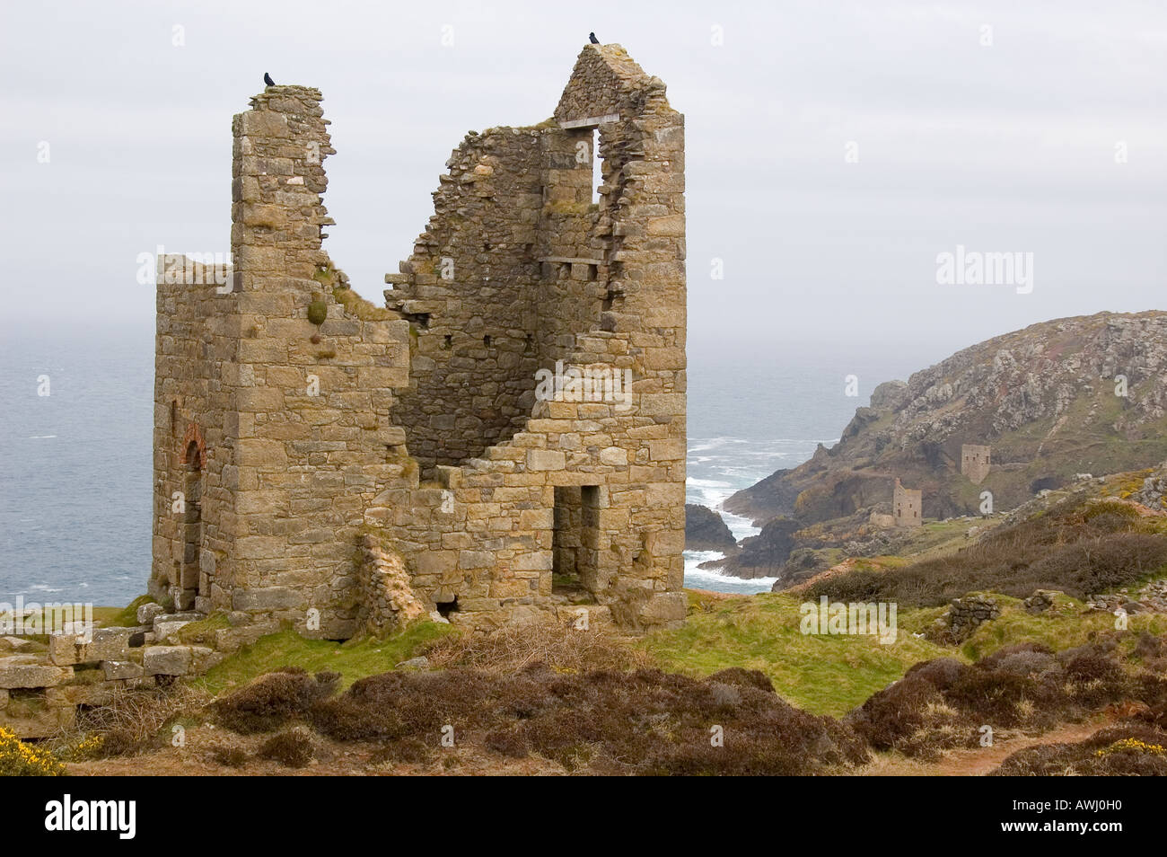Tin mines on the North Cornish coast Stock Photo Alamy