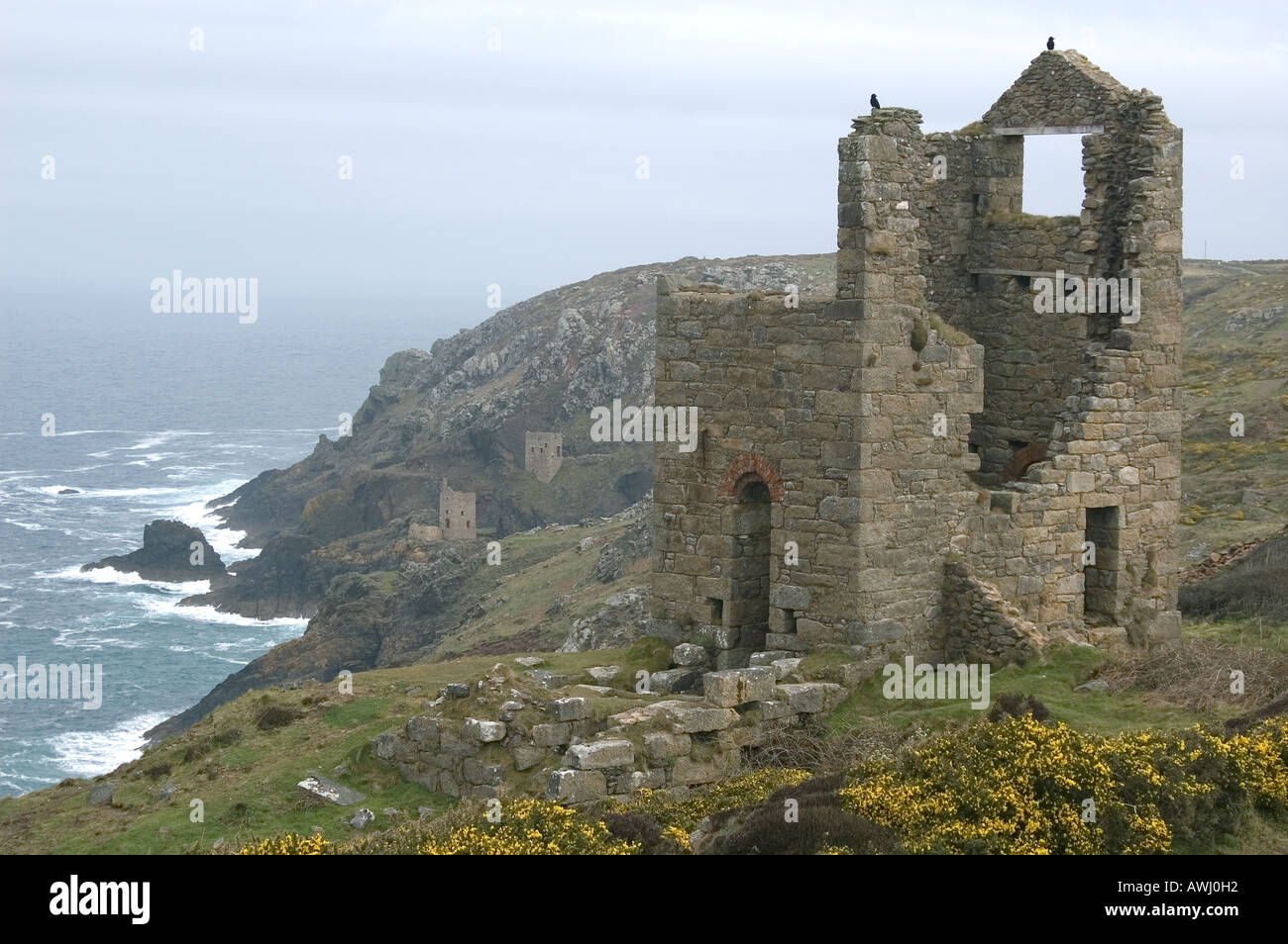 Tin mines on the North Cornish coast Stock Photo Alamy