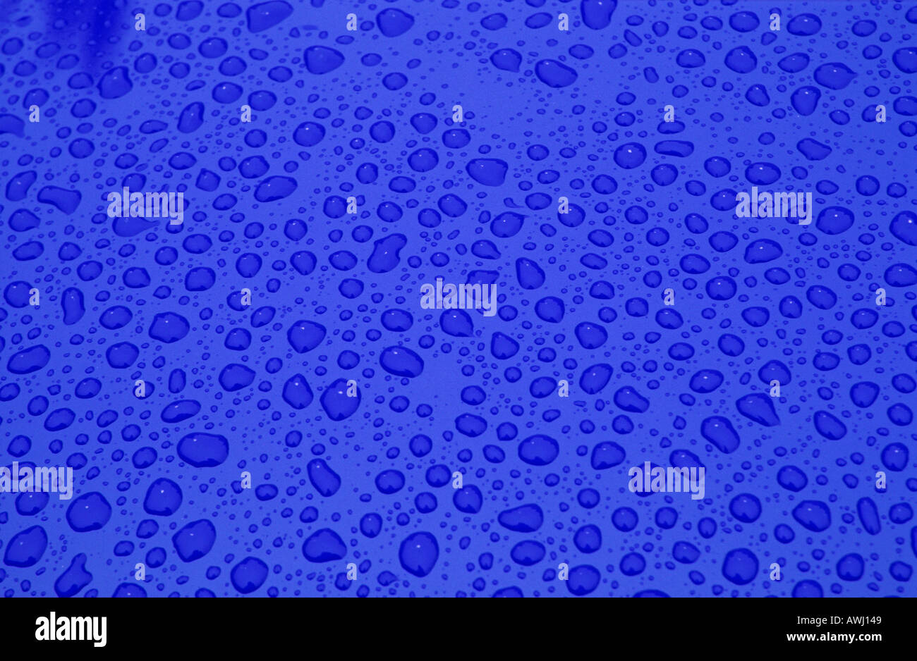 Water droplets on blue background abstract Stock Photo - Alamy
