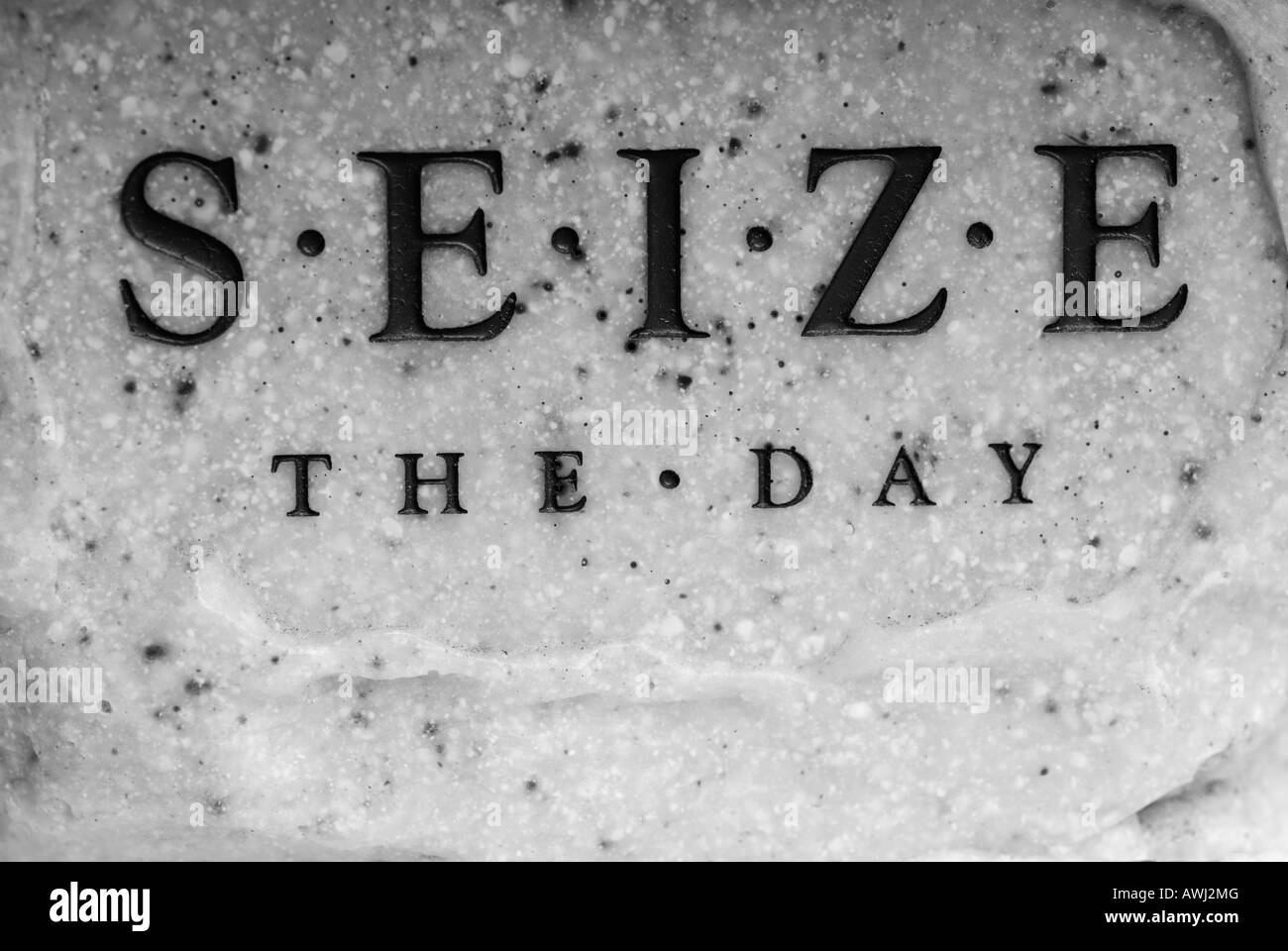 Stock photo of the words seize the day the english translation from the Latin phrase carpe diem Stock Photo