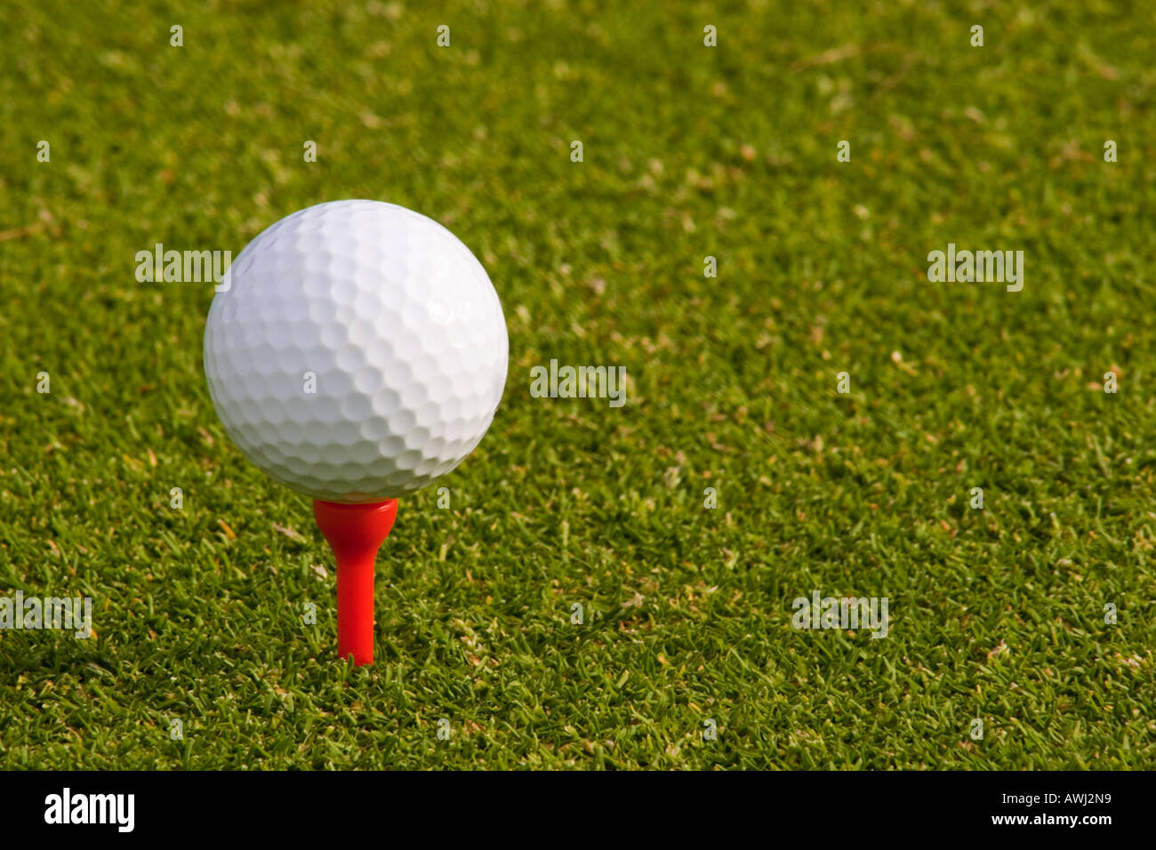 Golf Ball on Tee golf ball on tee ready shot chip whack hit crack smash  still steady balance green off grass red side close up Stock Photo - Alamy
