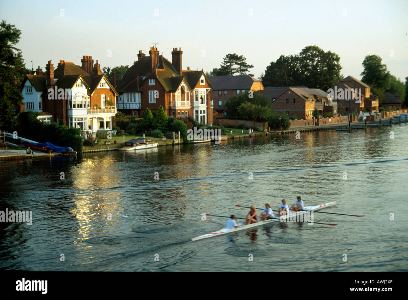 People rowers rowing a four with cox on the River Thames with big houses on a summer evening in Marlow Buckinghamshire Stock Photo