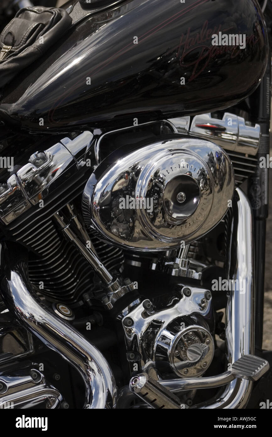 badge rear motorcycle motor bike seat back chrome detail shine gleam reflect stud bolt gold logo