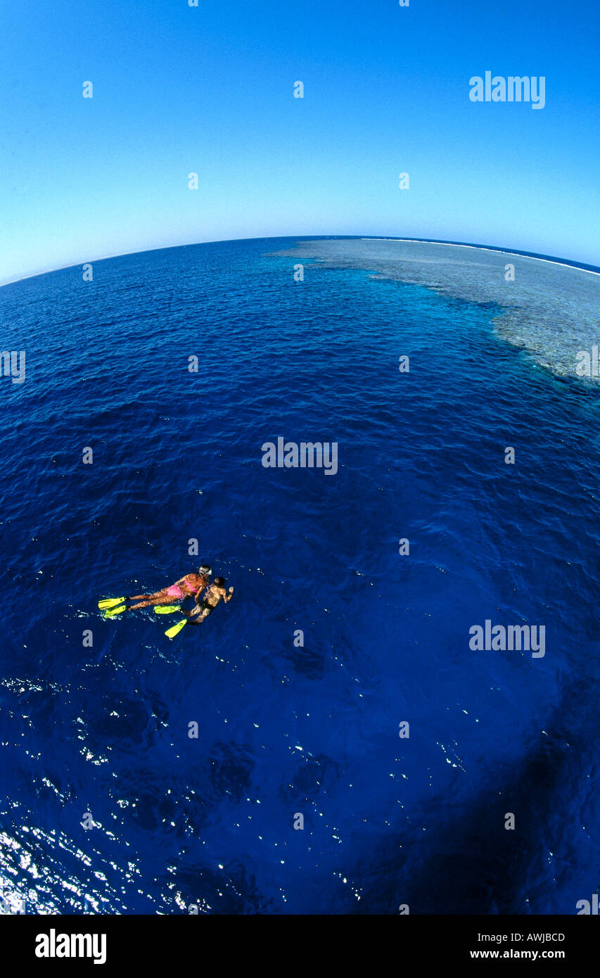Aerial view scuba divers in hi-res stock photography and images - Alamy