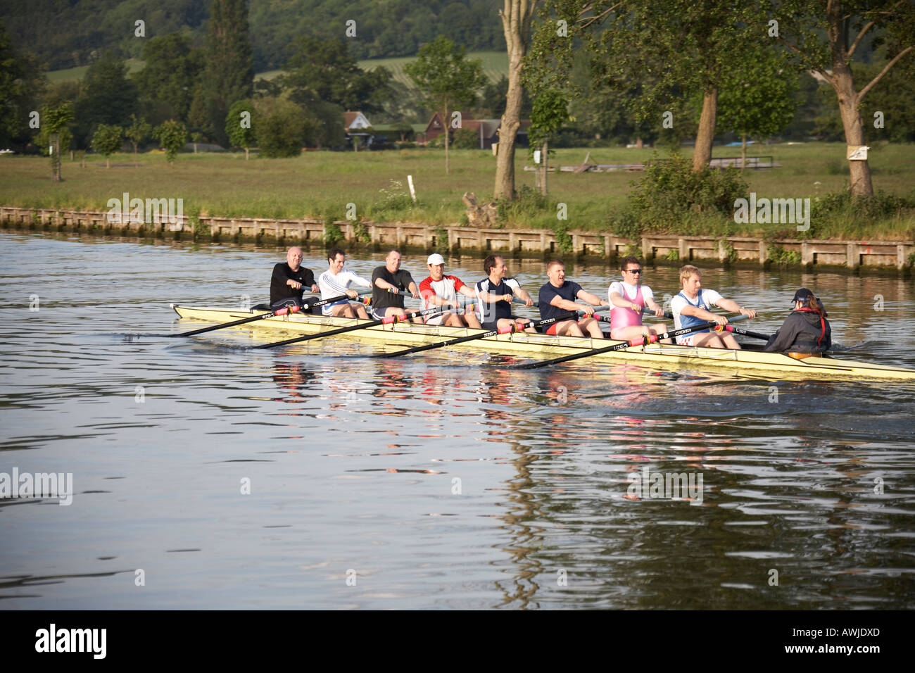 Team Rowing Thames Pe teams hi-res stock photography and images - Alamy