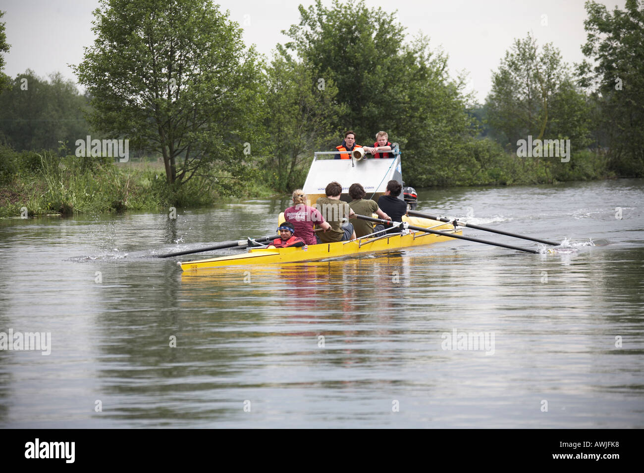 Coxed four rowing boat near Shiplake on River Thames between Buckinghamshire and Berkshire England UK Stock Photo