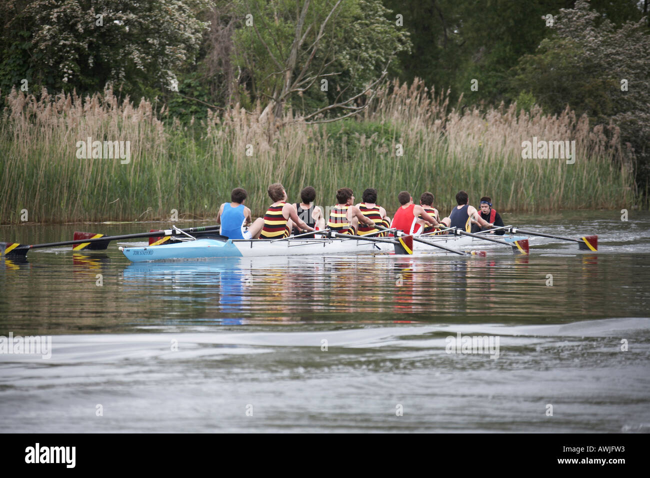 Rowing team in rowing boat near Shiplake on River Thames between Buckinghamshire and Berkshire England UK Stock Photo