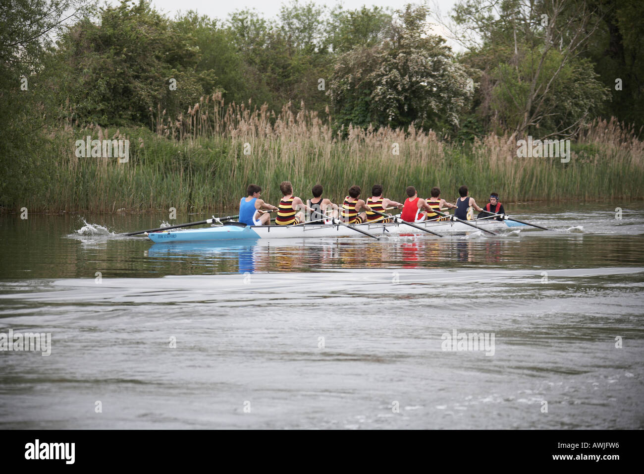 Rowing team in rowing boat near Shiplake on River Thames between Buckinghamshire and Berkshire England UK Stock Photo