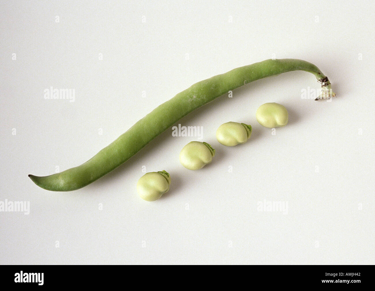 String bean one hi-res stock photography and images - Alamy